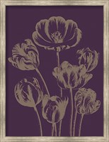 Framed Tulip 13