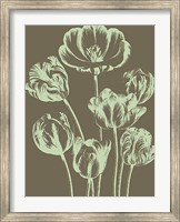 Framed Tulip 12