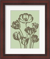 Framed Tulip 11