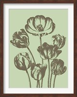 Framed Tulip 11