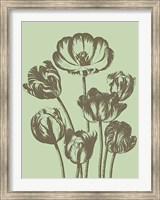 Framed Tulip 11