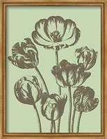 Framed Tulip 11