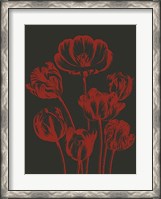 Framed Tulip 10