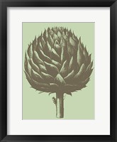 Framed Artichoke 11