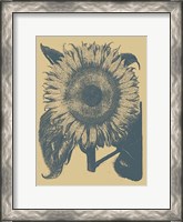 Framed Sunflower 1