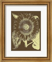 Framed Sunflower 3