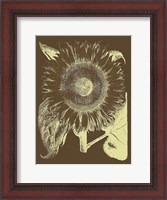 Framed Sunflower 3