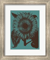 Framed Sunflower 5