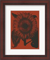 Framed Sunflower 9