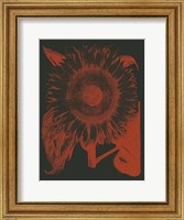 Framed Sunflower 10