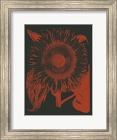 Framed Sunflower 10