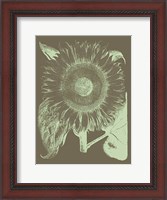 Framed Sunflower 12