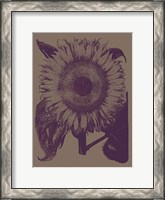 Framed Sunflower 14