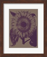 Framed Sunflower 14