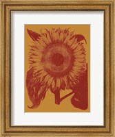 Framed Sunflower 15