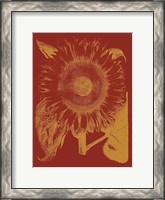 Framed Sunflower 16