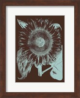 Framed Sunflower 17