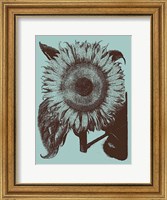 Framed Sunflower 18