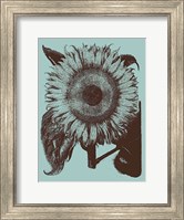 Framed Sunflower 18