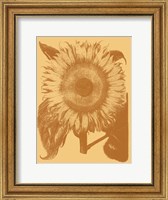 Framed Sunflower 19