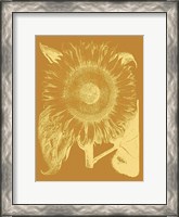 Framed Sunflower 20