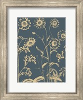 Framed Chrysanthemum 2