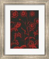 Framed Chrysanthemum 10