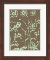 Framed Chrysanthemum 12