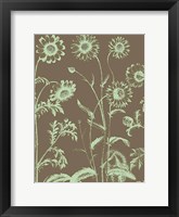 Framed Chrysanthemum 12