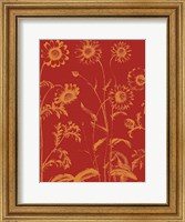 Framed Chrysanthemum 16