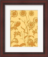 Framed Chrysanthemum 19