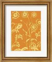 Framed Chrysanthemum 20