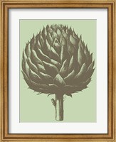 Framed Artichoke 11