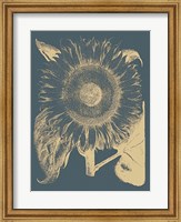 Framed Sunflower 2