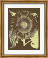 Framed Sunflower 3