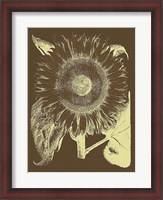 Framed Sunflower 3