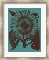 Framed Sunflower 5