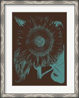 Framed Sunflower 6