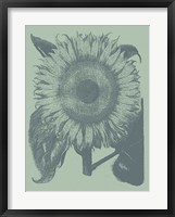 Framed Sunflower 8