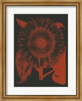 Framed Sunflower 10