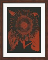 Framed Sunflower 10
