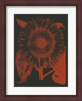 Framed Sunflower 10