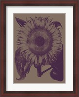 Framed Sunflower 14