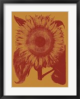 Framed Sunflower 15