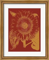 Framed Sunflower 16