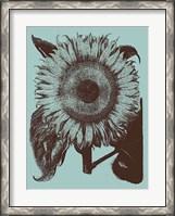 Framed Sunflower 18