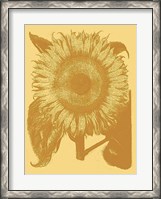 Framed Sunflower 19