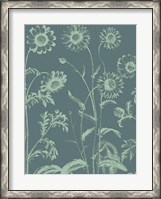 Framed Chrysanthemum 7