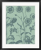 Framed Chrysanthemum 8