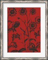 Framed Chrysanthemum 9